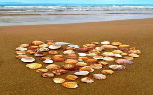 heart shaped seashell wallpaper from Chrome web store to be run with OffiDocs Chromium online heart shaped seashell wallpaper from Chrome web store to be run with OffiDocs Chromium online