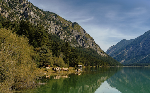 Herd of cows by the lake from Chrome web store to be run with OffiDocs Chromium online Herd of cows by the lake from Chrome web store to be run with OffiDocs Chromium online