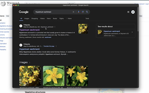 Highlight Researcher from Chrome web store to be run with OffiDocs Chromium online Highlight Researcher from Chrome web store to be run with OffiDocs Chromium online