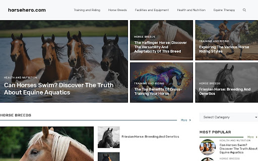 HorseHero Grey Background from Chrome web store to be run with OffiDocs Chromium online HorseHero Grey Background from Chrome web store to be run with OffiDocs Chromium online