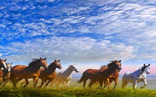 Horses galloping wallpaper from Chrome web store to be run with OffiDocs Chromium online Horses galloping wallpaper from Chrome web store to be run with OffiDocs Chromium online