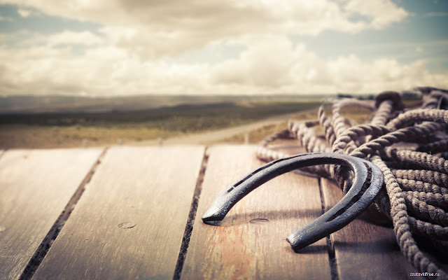 Horseshoe on a Rope from Chrome web store to be run with OffiDocs Chromium online Horseshoe on a Rope from Chrome web store to be run with OffiDocs Chromium online
