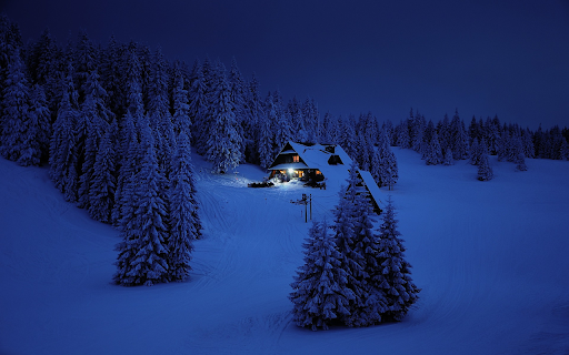 House in the snowy forest from Chrome web store to be run with OffiDocs Chromium online House in the snowy forest from Chrome web store to be run with OffiDocs Chromium online