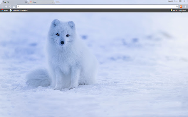 Iceland Fox from Chrome web store to be run with OffiDocs Chromium online Iceland Fox from Chrome web store to be run with OffiDocs Chromium online