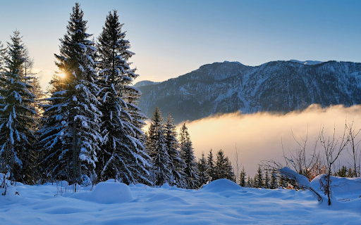icy mountain forests from Chrome web store to be run with OffiDocs Chromium online icy mountain forests from Chrome web store to be run with OffiDocs Chromium online