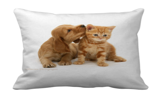 I love pets and all things pets from Chrome web store to be run with OffiDocs Chromium online I love pets and all things pets from Chrome web store to be run with OffiDocs Chromium online