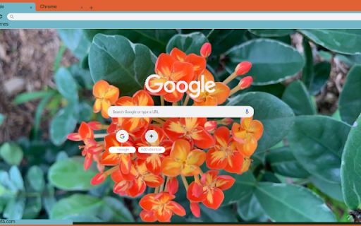 Ixora from Chrome web store to be run with OffiDocs Chromium online Ixora from Chrome web store to be run with OffiDocs Chromium online