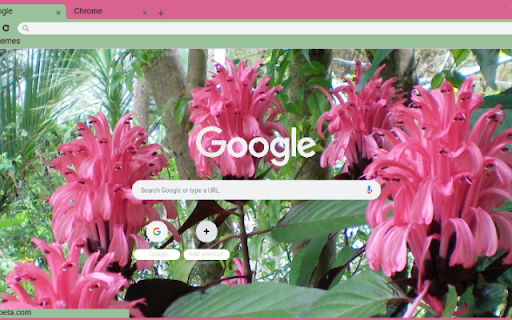 Justice Plant from Chrome web store to be run with OffiDocs Chromium online Justice Plant from Chrome web store to be run with OffiDocs Chromium online
