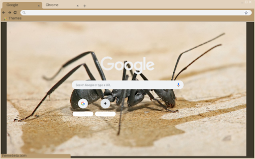 Kien Tho from Chrome web store to be run with OffiDocs Chromium online Kien Tho from Chrome web store to be run with OffiDocs Chromium online
