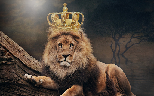 King of the jungle from Chrome web store to be run with OffiDocs Chromium online King of the jungle from Chrome web store to be run with OffiDocs Chromium online