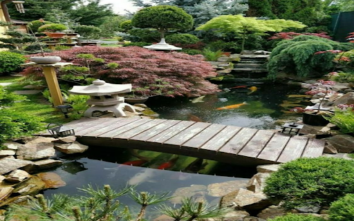 koi pond wallpaper from Chrome web store to be run with OffiDocs Chromium online koi pond wallpaper from Chrome web store to be run with OffiDocs Chromium online