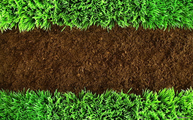 Lawn Grass from Chrome web store to be run with OffiDocs Chromium online Lawn Grass from Chrome web store to be run with OffiDocs Chromium online