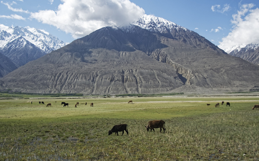 Lawn under the mountain from Chrome web store to be run with OffiDocs Chromium online Lawn under the mountain from Chrome web store to be run with OffiDocs Chromium online