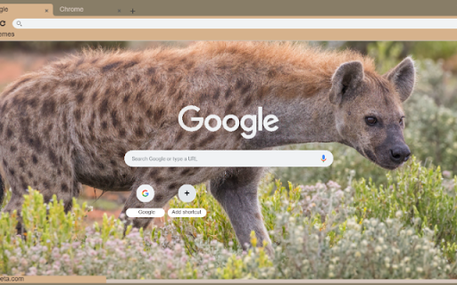 Linh Cau from Chrome web store to be run with OffiDocs Chromium online Linh Cau from Chrome web store to be run with OffiDocs Chromium online