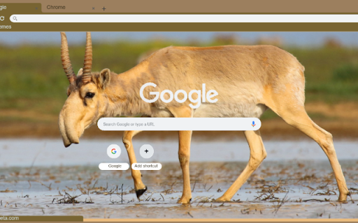 Linh Duong from Chrome web store to be run with OffiDocs Chromium online Linh Duong from Chrome web store to be run with OffiDocs Chromium online