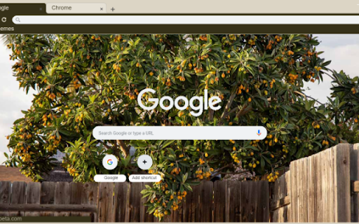 Loquat Tree from Chrome web store to be run with OffiDocs Chromium online Loquat Tree from Chrome web store to be run with OffiDocs Chromium online