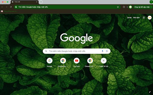 Lush Foliage from Chrome web store to be run with OffiDocs Chromium online Lush Foliage from Chrome web store to be run with OffiDocs Chromium online