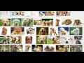 MacroKing from Chrome web store to be run with OffiDocs Chromium online MacroKing from Chrome web store to be run with OffiDocs Chromium online