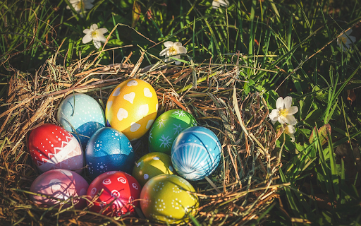 Magical egg nest from Chrome web store to be run with OffiDocs Chromium online Magical egg nest from Chrome web store to be run with OffiDocs Chromium online