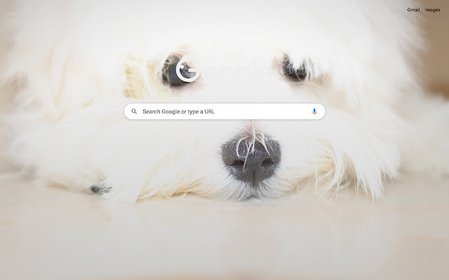 Maltese for Chrome from Chrome web store to be run with OffiDocs Chromium online Maltese for Chrome from Chrome web store to be run with OffiDocs Chromium online
