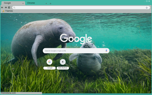 Manatee from Chrome web store to be run with OffiDocs Chromium online Manatee from Chrome web store to be run with OffiDocs Chromium online