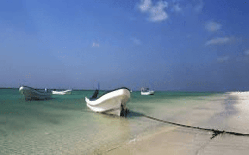 Masirah Island from Chrome web store to be run with OffiDocs Chromium online Masirah Island from Chrome web store to be run with OffiDocs Chromium online