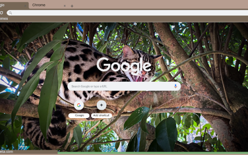 Meo Rung from Chrome web store to be run with OffiDocs Chromium online Meo Rung from Chrome web store to be run with OffiDocs Chromium online