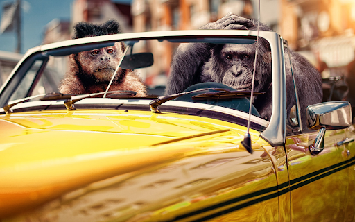 Monkey ride from Chrome web store to be run with OffiDocs Chromium online Monkey ride from Chrome web store to be run with OffiDocs Chromium online