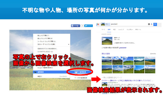More Image Search from Chrome web store to be run with OffiDocs Chromium online More Image Search from Chrome web store to be run with OffiDocs Chromium online