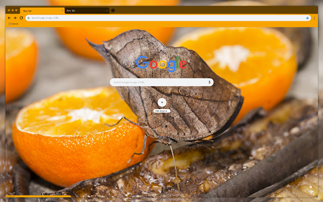 Moth on orange from Chrome web store to be run with OffiDocs Chromium online Moth on orange from Chrome web store to be run with OffiDocs Chromium online