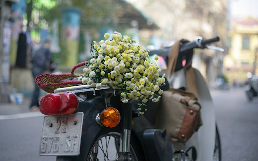 motorbike carrying flowers from Chrome web store to be run with OffiDocs Chromium online motorbike carrying flowers from Chrome web store to be run with OffiDocs Chromium online
