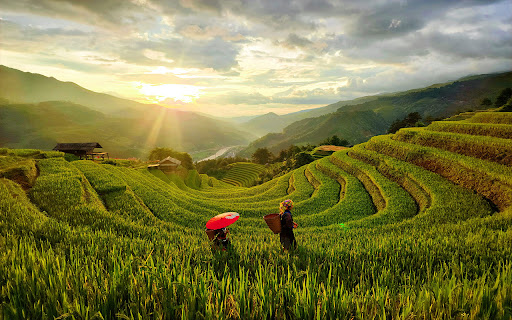 Mu Cang Chai from Chrome web store to be run with OffiDocs Chromium online Mu Cang Chai from Chrome web store to be run with OffiDocs Chromium online