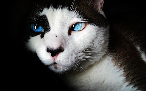 Mysterious eyes from Chrome web store to be run with OffiDocs Chromium online Mysterious eyes from Chrome web store to be run with OffiDocs Chromium online