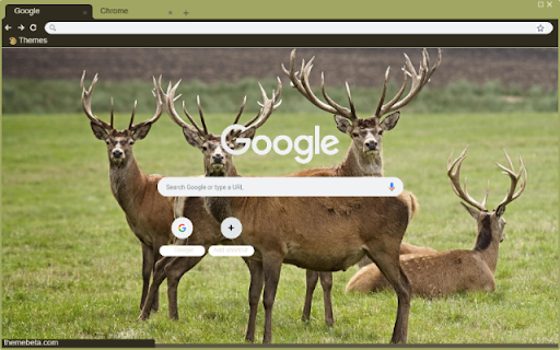 Nai chau Au from Chrome web store to be run with OffiDocs Chromium online Nai chau Au from Chrome web store to be run with OffiDocs Chromium online