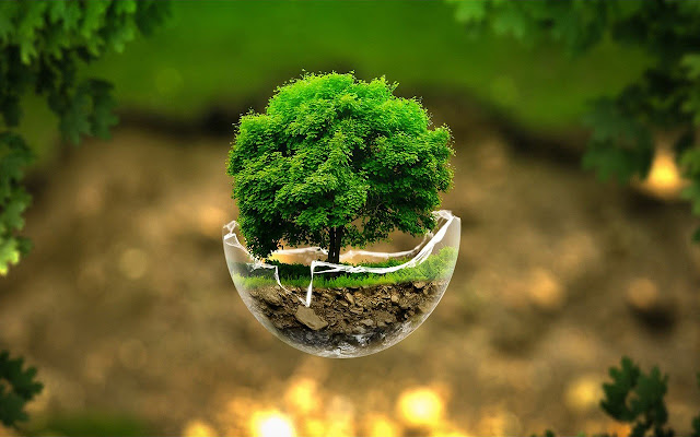 Nature Lite from Chrome web store to be run with OffiDocs Chromium online Nature Lite from Chrome web store to be run with OffiDocs Chromium online