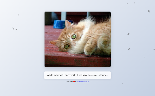 New Cat Tab from Chrome web store to be run with OffiDocs Chromium online New Cat Tab from Chrome web store to be run with OffiDocs Chromium online