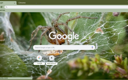 Nhen Mat Liem from Chrome web store to be run with OffiDocs Chromium online Nhen Mat Liem from Chrome web store to be run with OffiDocs Chromium online
