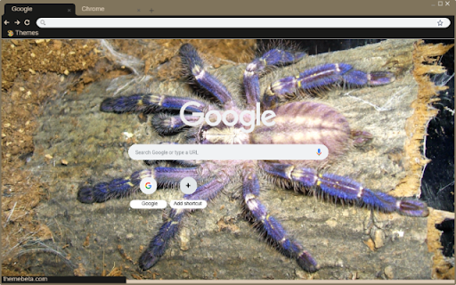Nhen tarantula from Chrome web store to be run with OffiDocs Chromium online Nhen tarantula from Chrome web store to be run with OffiDocs Chromium online