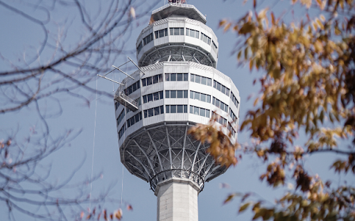 Observation Tower Framed by Autumnal Branches from Chrome web store to be run with OffiDocs Chromium online Observation Tower Framed by Autumnal Branches from Chrome web store to be run with OffiDocs Chromium online