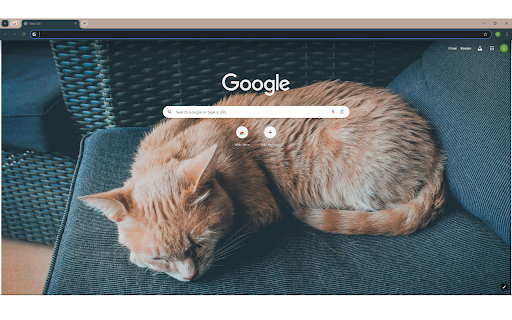 Orange Cat Lying on Chair from Chrome web store to be run with OffiDocs Chromium online Orange Cat Lying on Chair from Chrome web store to be run with OffiDocs Chromium online