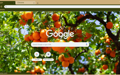 OrangeTree from Chrome web store to be run with OffiDocs Chromium online OrangeTree from Chrome web store to be run with OffiDocs Chromium online