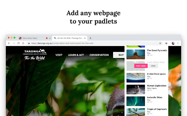 Padlet Mini from Chrome web store to be run with OffiDocs Chromium online Padlet Mini from Chrome web store to be run with OffiDocs Chromium online