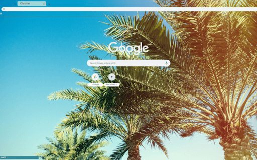 Palm trees in the sunlight from Chrome web store to be run with OffiDocs Chromium online Palm trees in the sunlight from Chrome web store to be run with OffiDocs Chromium online