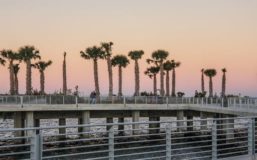Palm trees on the bridge from Chrome web store to be run with OffiDocs Chromium online Palm trees on the bridge from Chrome web store to be run with OffiDocs Chromium online