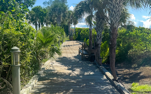 Palm trees on the sea from Chrome web store to be run with OffiDocs Chromium online Palm trees on the sea from Chrome web store to be run with OffiDocs Chromium online