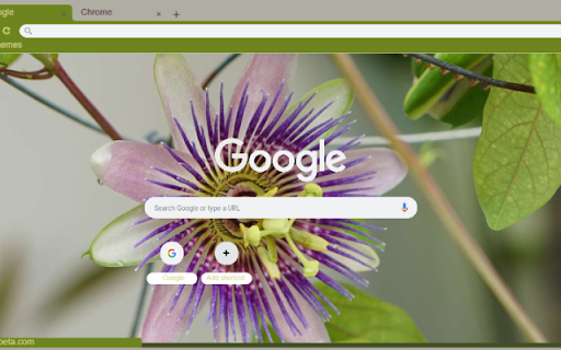 Passion Flower from Chrome web store to be run with OffiDocs Chromium online Passion Flower from Chrome web store to be run with OffiDocs Chromium online