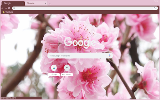 Peach blossom from Chrome web store to be run with OffiDocs Chromium online Peach blossom from Chrome web store to be run with OffiDocs Chromium online