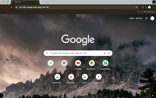 Photo of pine forest in the evening from Chrome web store to be run with OffiDocs Chromium online Photo of pine forest in the evening from Chrome web store to be run with OffiDocs Chromium online