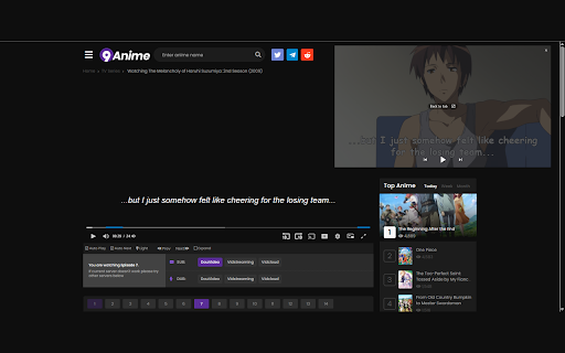 Picture in Picture with Subtitles from Chrome web store to be run with OffiDocs Chromium online Picture in Picture with Subtitles from Chrome web store to be run with OffiDocs Chromium online