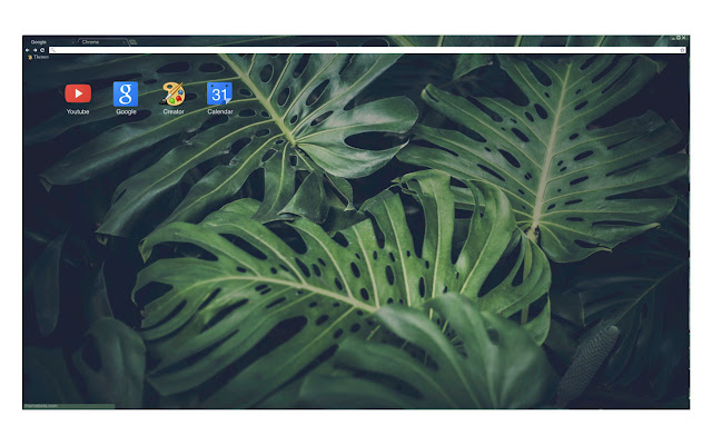 Plants Galore from Chrome web store to be run with OffiDocs Chromium online Plants Galore from Chrome web store to be run with OffiDocs Chromium online